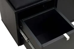 CONFETTI BÄNK EK/SVART 2-LÅDOR