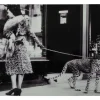 Tavla WINDOWSHOPPING m cheeta 150x100