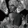 Tavla Zebra Queen, glas, 120x120 K